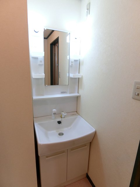 メゾン欅0303号室 洗面