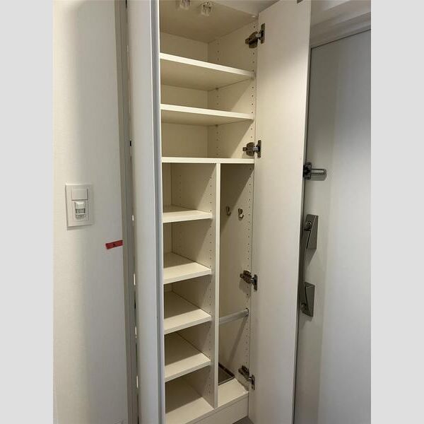 S-RESIDENCE押上Clair501号室 リビング