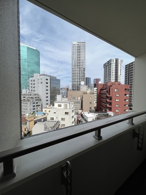 カームコート白金高輪0602号室 展望