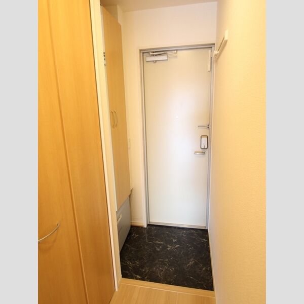 カーサグラナーテ308号室 玄関