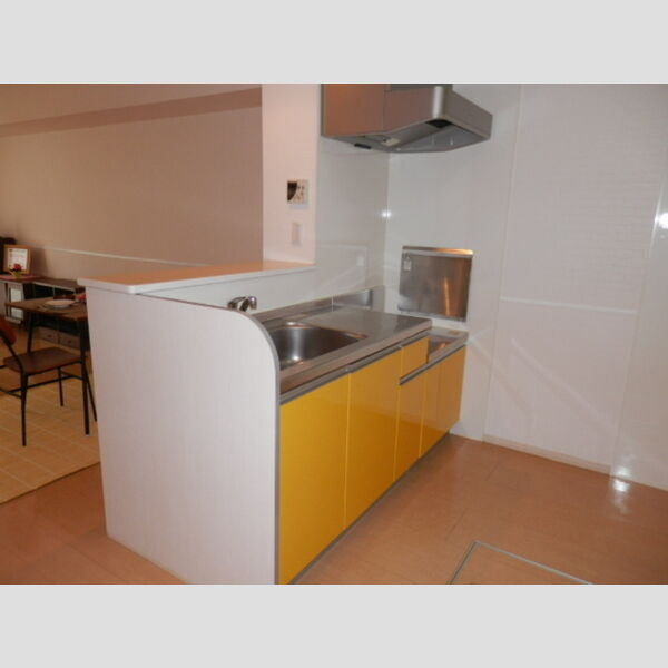 リヴィエールいぶき野105号室 キッチン