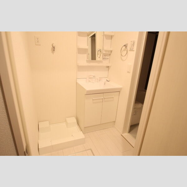 アンジュール神谷301号室 洗面所