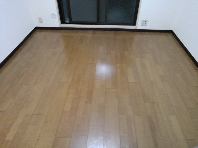 日神パレス平和島4階 部屋その他