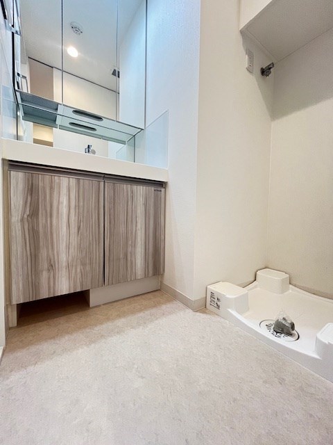 アジールコート新高円寺4階 洗面