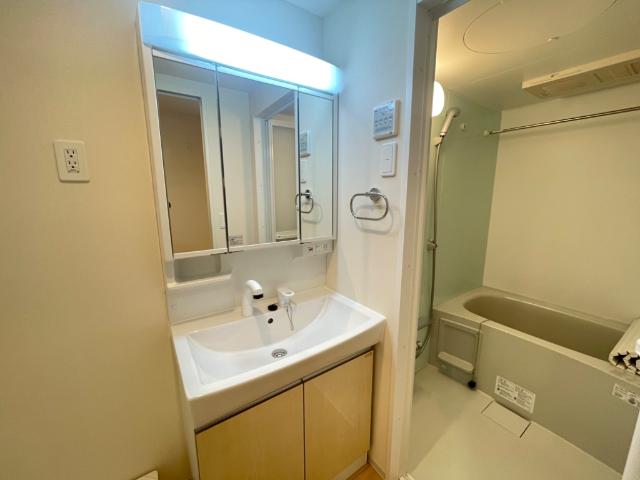 メゾン．ネクストエイト201号室 洗髪洗面化粧台