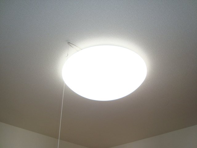 ムーンガーデン弐番館101号室 照明