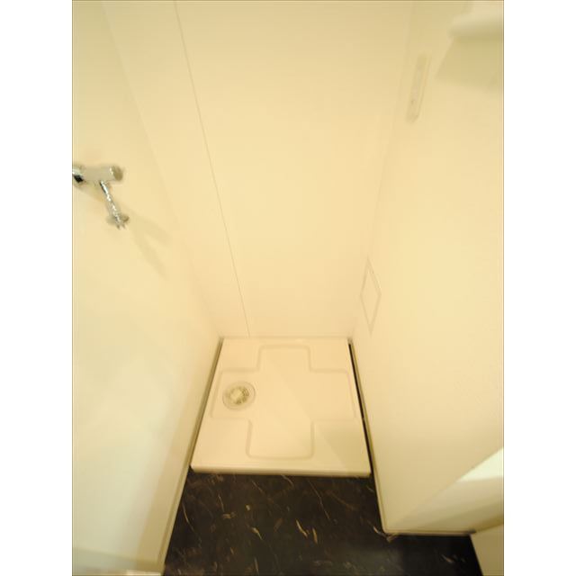 レキシントンスクエア白金高輪1004号室 室内洗濯機置場