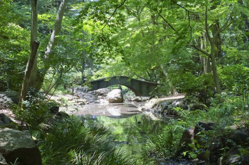 コンシェリア南麻布 ＜ＴＯＫＹＯ ＰＲＥＭＩＵＭ＞ ＷＥＳＴ 【公園】有栖川宮記念公園まで981ｍ