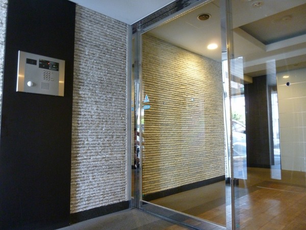 日神デュオステージ大森西312号室 エントランス