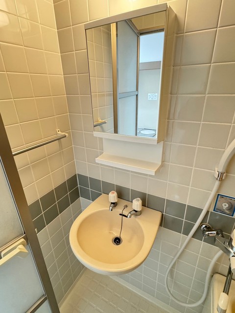 ダイヤ板橋コーポ 洗面