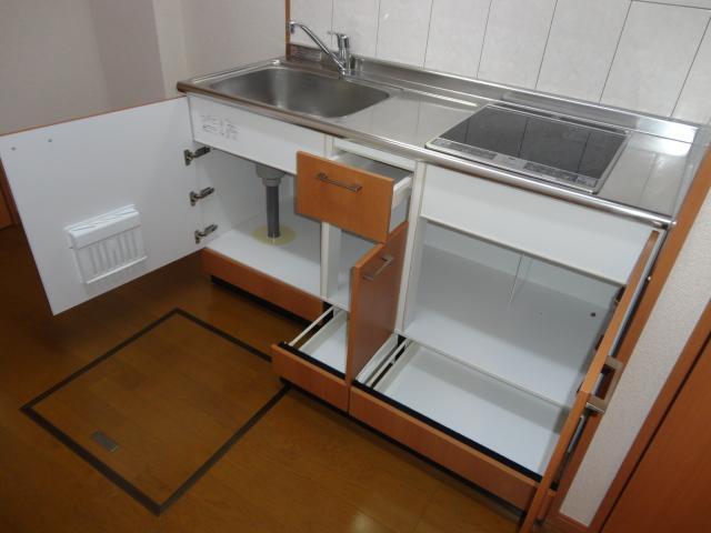 ドリーム菊名206号室 キッチン