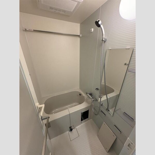 MAXIV横浜吉野町TRE605号室 洗面