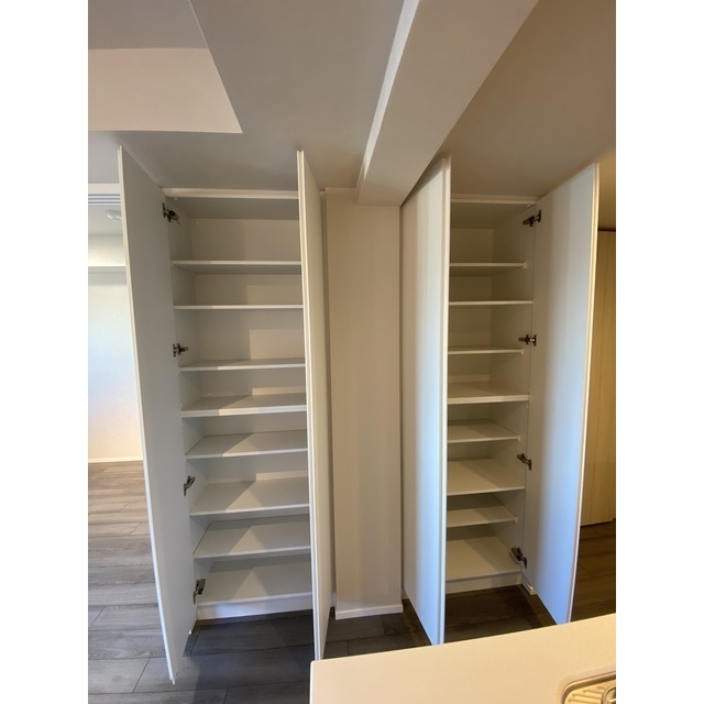 Ｌａ　Ｐｅｒｌａ　ＪｉｙｕｇａｏｋａⅡ302号室 リビング収納　2026年1月撮影