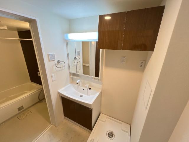 ルミナス　ケイポート201号室 洗面
