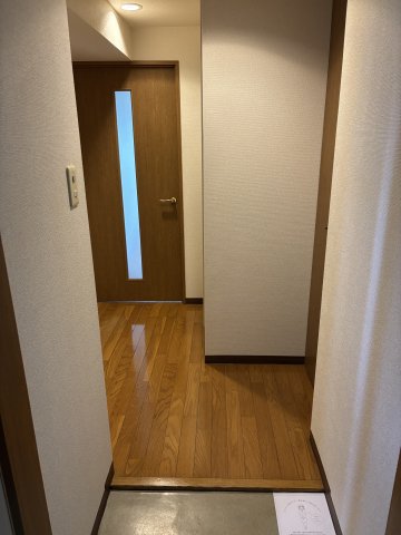 花川戸マンション0701号室 部屋その他