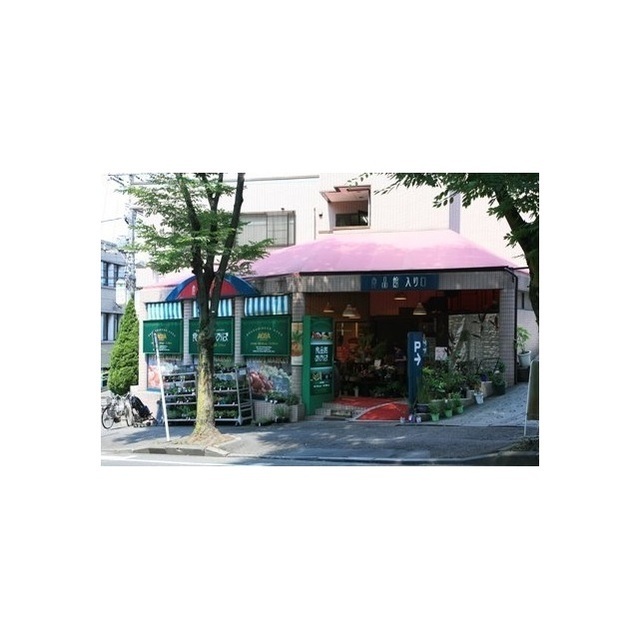 ソレイユ藤が丘102号室 スーパー「食品館あおば藤が丘店まで398m」