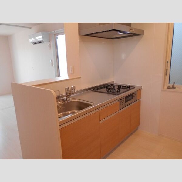 Crane　Hills201号室 システムキッチン