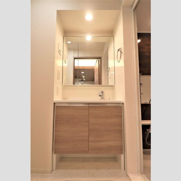 セレスティア池袋立教通り202号室 洗面所