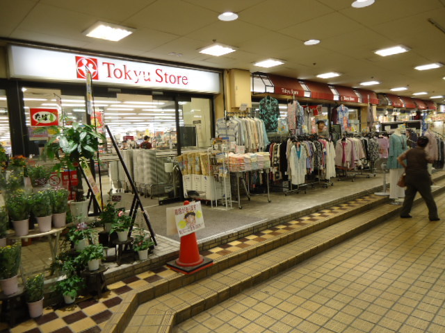 深沢ハイツ0202号室 菊名東急ストア