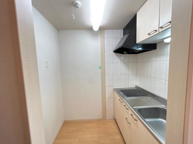 ラッフィナート田園102号室 キッチン