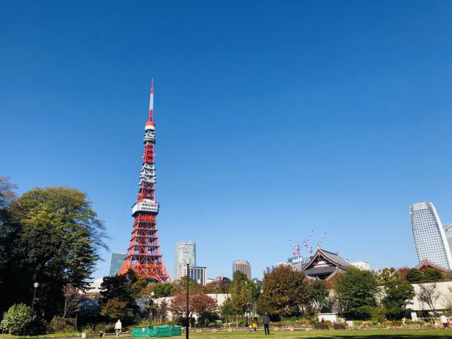 コンシェリア芝公園 ＭＡＳＴＥＲ’Ｓ ＶＩＬＬＡ 【公園】都立芝公園(芝公園駅側入口)まで712ｍ