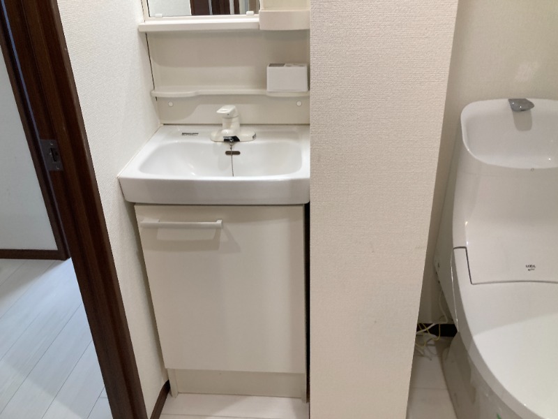 ラ・ルーチェ新小岩3階 洗面