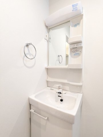 エスビーメゾン南鳩ヶ谷0301号室 洗面