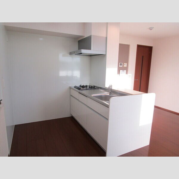 南桜207号室 対面式2口ガスコンロ付システムキッチン