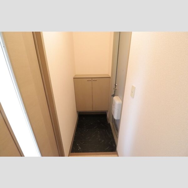 セジュールグランデ　Ⅴ205号室 玄関