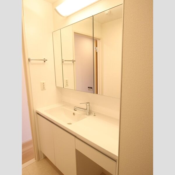 カーサグラナーテ308号室 洗面