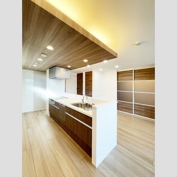 Belleville桜木町203号室 対面システムキッチン