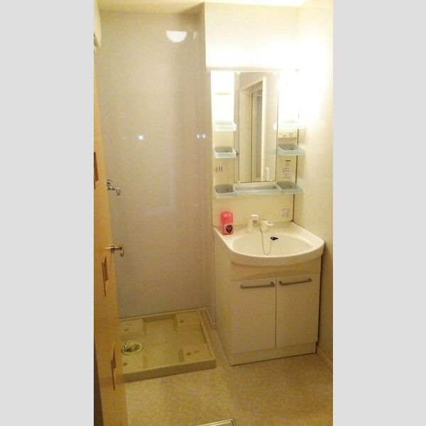 ハイツ・プリマベーラ103号室 洗面室