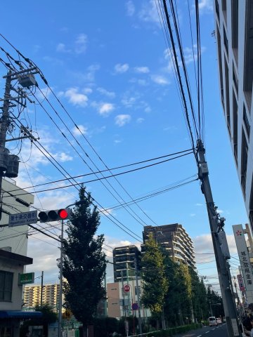 共栄ビル204号室 明理会中央総合病院、さかい内科、吉田接骨院、ファミリー歯科等