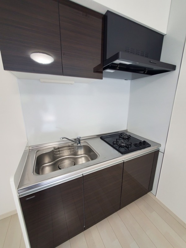 （仮称）イルヴィアーレ成増ヒルズC棟2階 ＊設置予定の製品です。