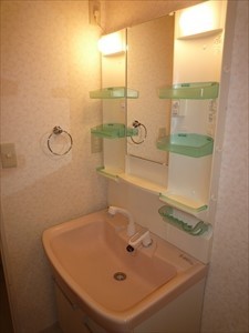 ホワイトヘイヴン0202号室 洗面台