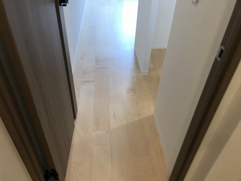 SYNEX NISHI-OI302号室 内観