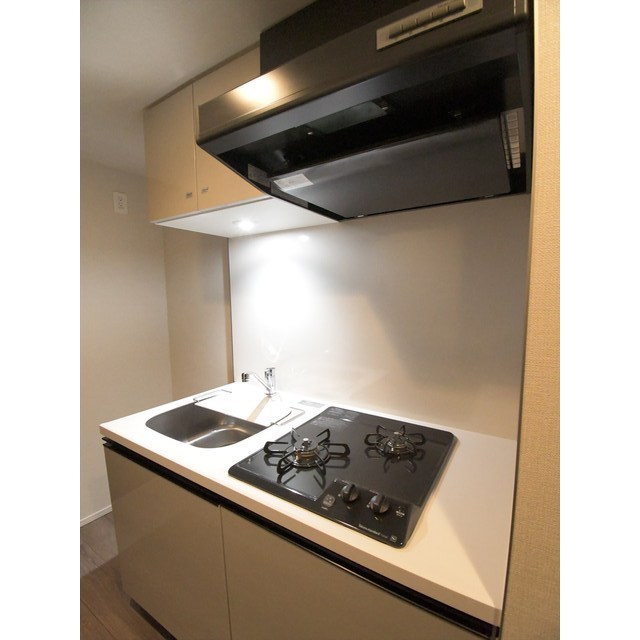 ルネサンスコート上野入谷0202号室 キッチン