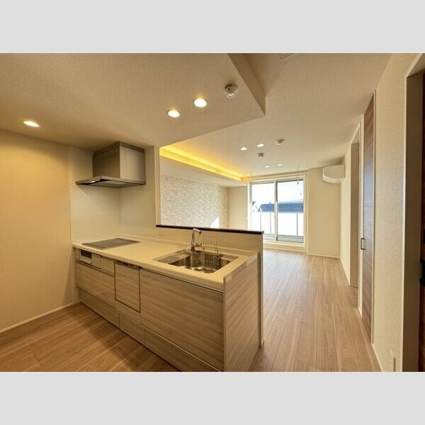 フレジア201号室 カウンターキッチンでコミュニケーションも広がる♪食洗器付、IHクッキングヒーター♪