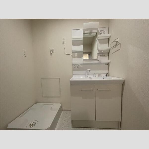 リーブルファイン足立南花畑201号室 洗面