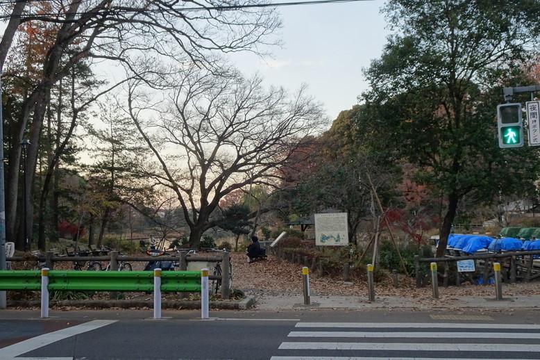 善福寺ハウス101号室 善福寺公園