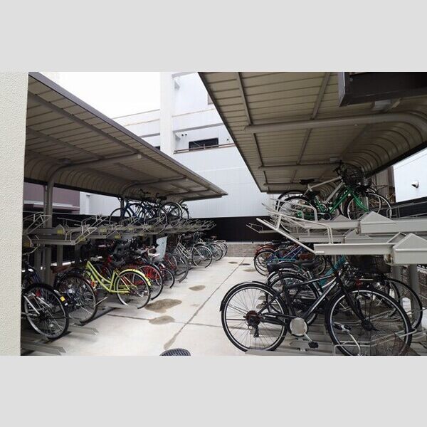 フェリス　コート0810号室 駐輪場