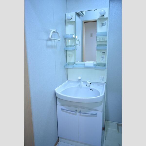 リビングタウン三橋101号室 洗髪洗面化粧台