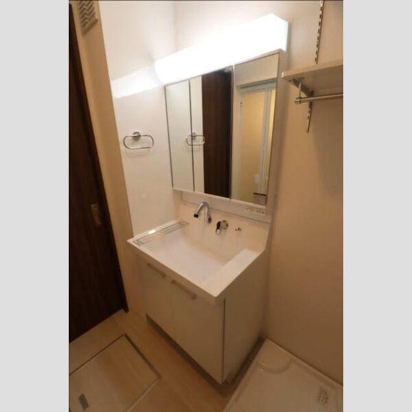 グレース上篠崎301号室 洗髪洗面化粧台