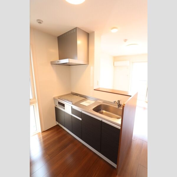 フェアリーシャトー301号室 対面システムキッチン