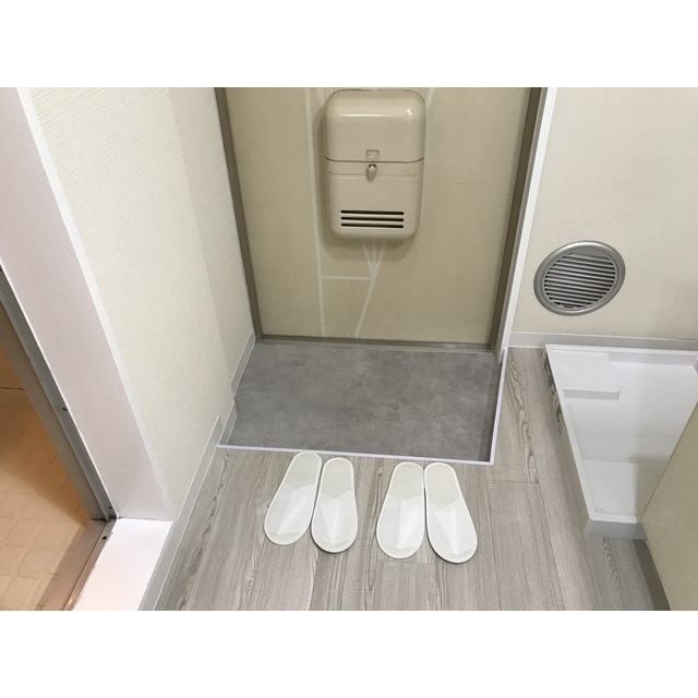 リエス伊勢原101号室 玄関