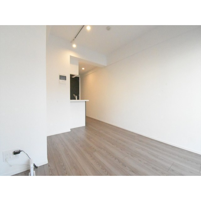 ルネサンスコート新宿余丁町0208号室 内観