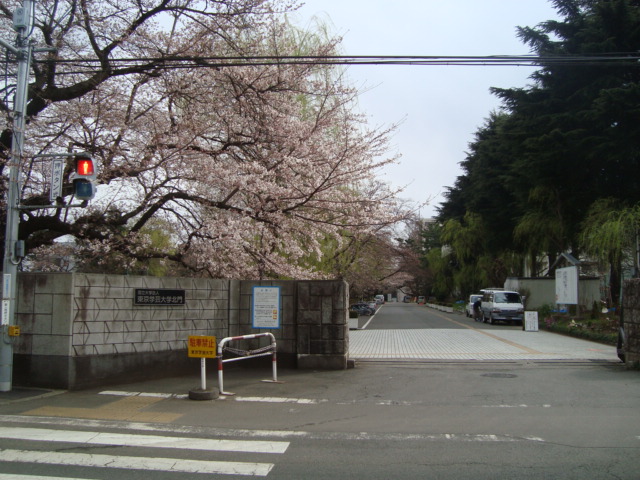 エトワールメゾン 国立東京学芸大学まで1,123ｍ