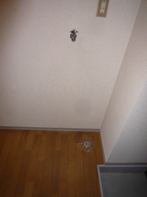 ルピナス2階 室内洗濯機置き場