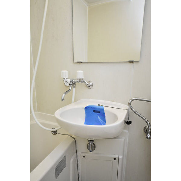 メゾン・ド・プリムヴェール 洗面