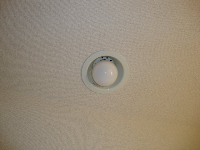 グレイスヴィラ 廊下照明